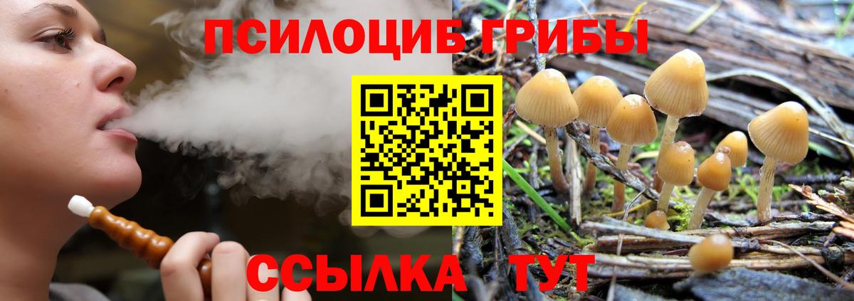 Галлюциногенные грибы прущие грибы  Вход с VPN  Кропоткин  цена   Псилоцибиновые грибы MAGIC MUSHROOMS 